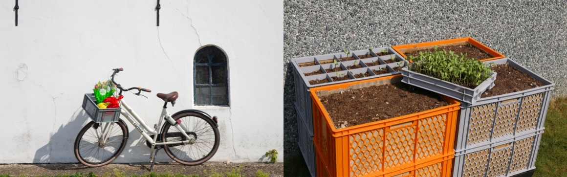 Fahrradkiste-und-G-rtnerkiste